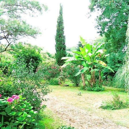 Buanes Gite Matilon, 5 Min Eugenie Les Bains מראה חיצוני תמונה